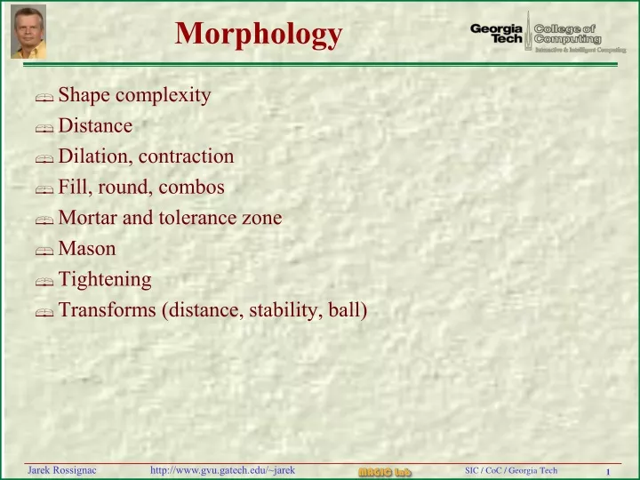 morphology