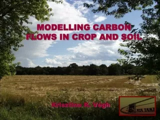 MODELLING CARBON FLOWS IN CROP AND SOIL