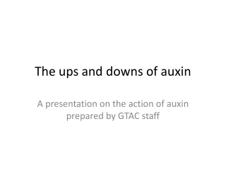 The ups and downs of auxin