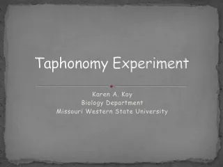 Taphonomy Experiment