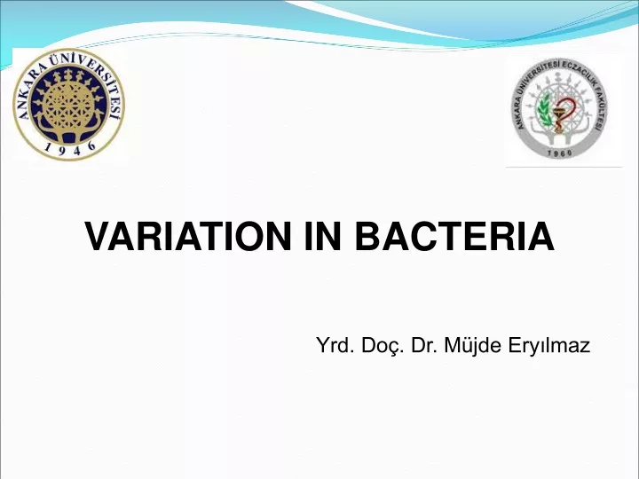 variation in bacteria yrd do dr m jde ery lmaz