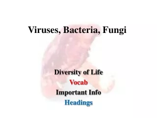 Viruses, Bacteria, Fungi