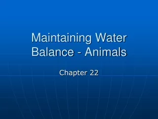 Maintaining Water Balance - Animals