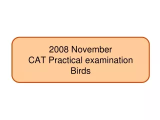 2008 November  CAT Practical examination Birds