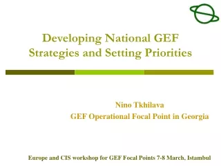 Developing National GEF Strategies and Setting Priorities
