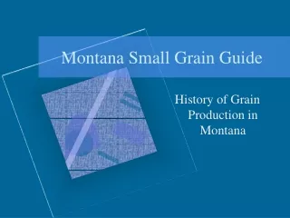 Montana Small Grain Guide