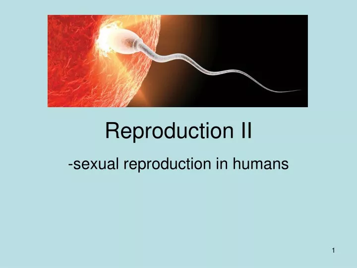 reproduction ii