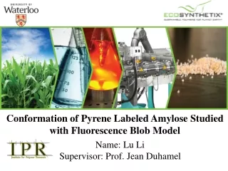 Conformation of Pyrene Labeled Amylose Studied with Fluorescence Blob Model