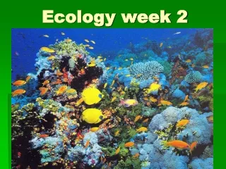Ecology week 2