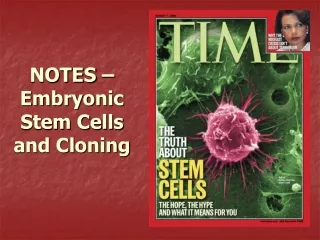 NOTES – Embryonic Stem Cells and Cloning