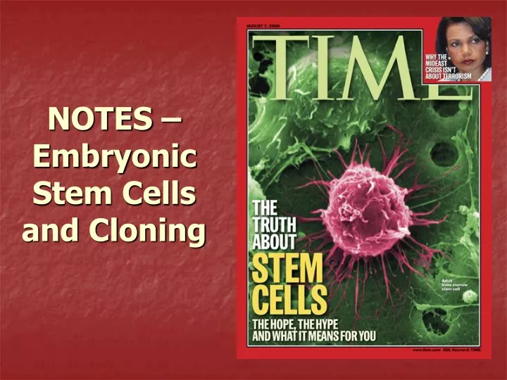 notes embryonic stem cells and cloning