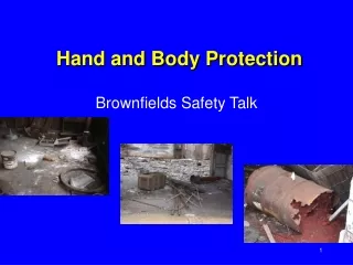 Hand and Body Protection