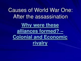 Causes of World War One: After the assassination