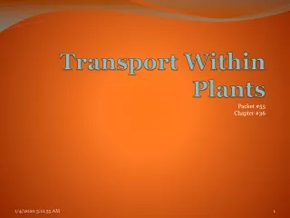 Transport Within Plants