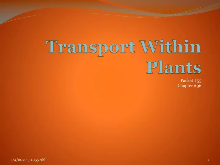transport within plants