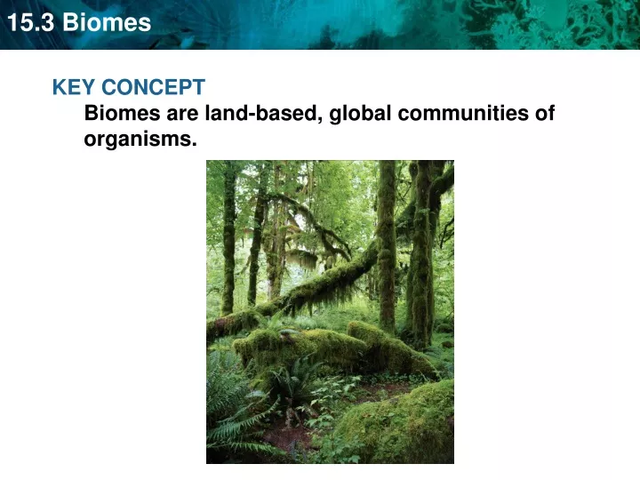 key concept biomes are land based global