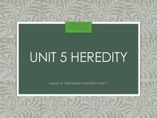 Unit 5 Heredity