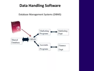 Database Management Systems (DBMS)