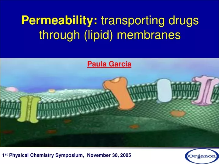 permeability transporting drugs through lipid membranes