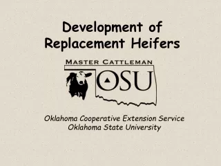 Development of  Replacement Heifers