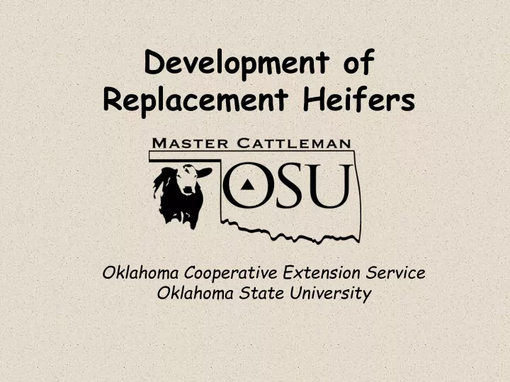 development of replacement heifers