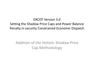 Addition of the Holistic Shadow Price Cap Methodology
