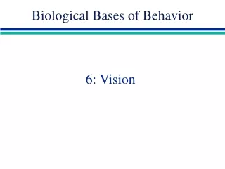 6: Vision