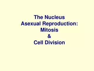 The Nucleus Asexual Reproduction:  Mitosis  &amp;  Cell Division