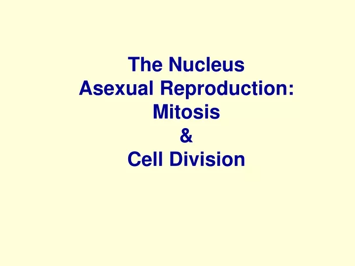the nucleus asexual reproduction mitosis cell division