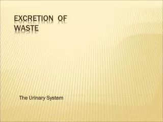 Excretion  of Waste