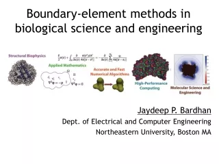 Boundary-element methods in biological science and engineering