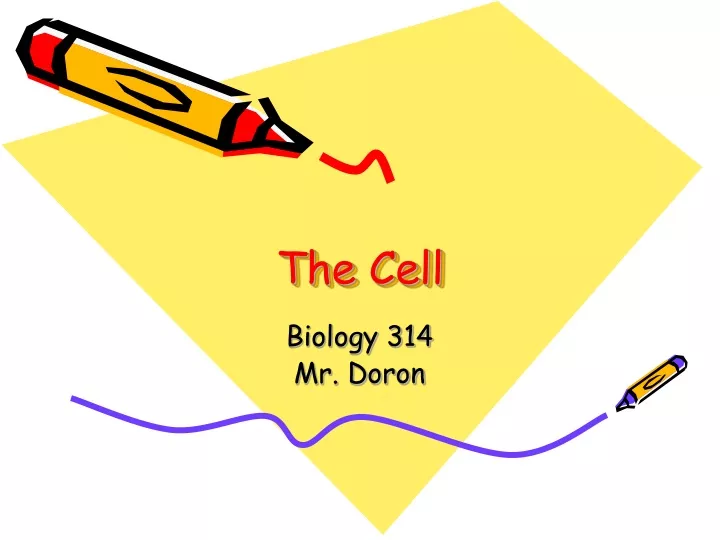 the cell