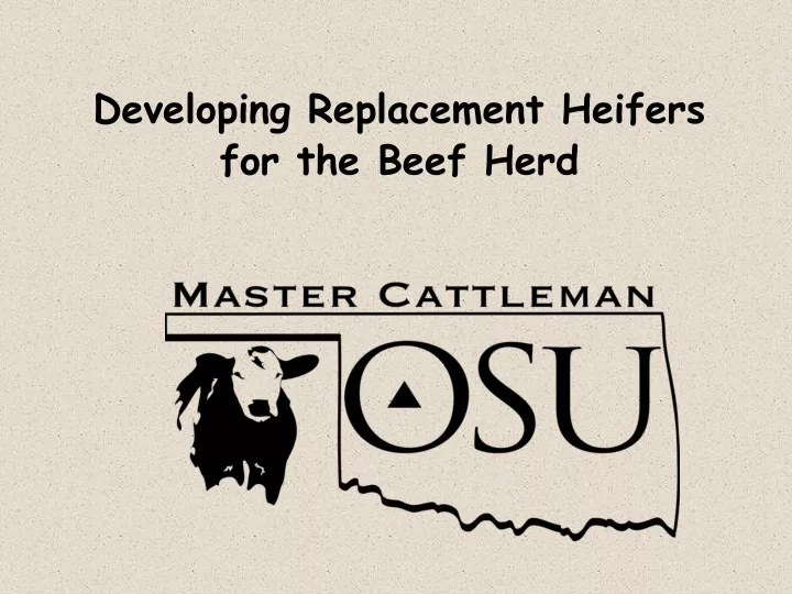 developing replacement heifers for the beef herd