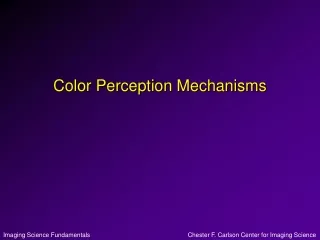 Color Perception Mechanisms