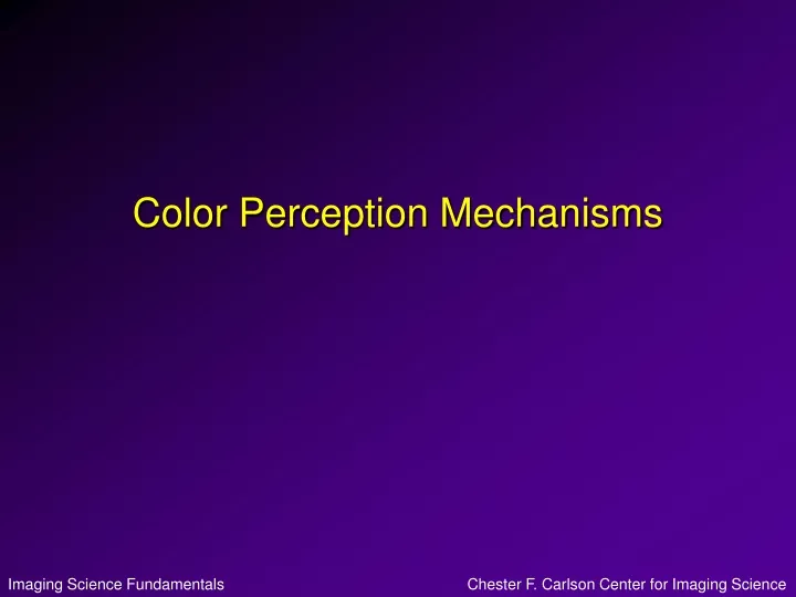 color perception mechanisms