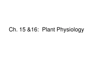 Ch. 15 &amp;16:  Plant Physiology