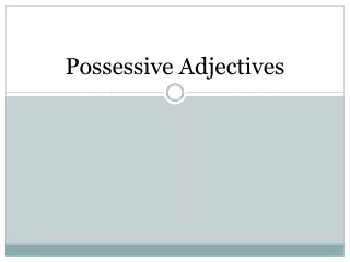 Possessive Adjectives