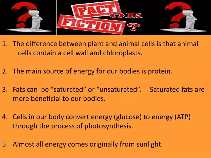 1 the difference between plant and animal cells