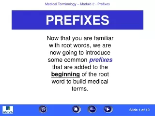 PREFIXES