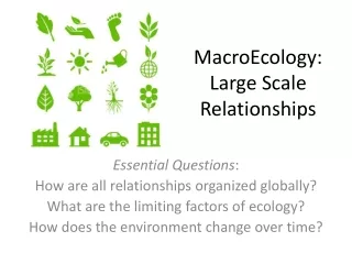 MacroEcology:   Large Scale Relationships