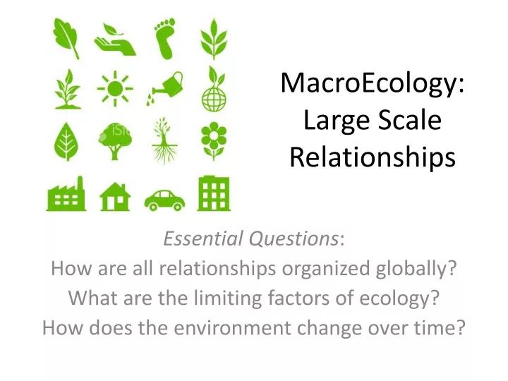 macroecology large scale relationships