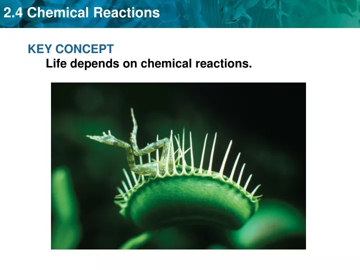 key concept life depends on chemical reactions
