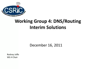 Working Group 4: DNS/Routing Interim Solutions