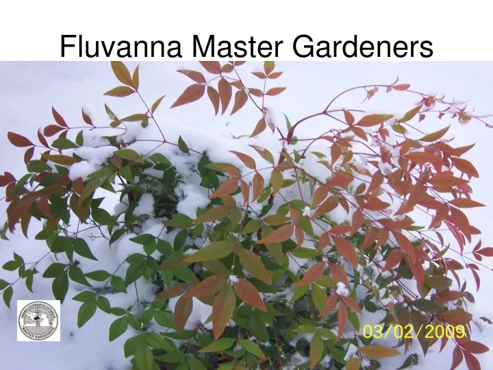 fluvanna master gardeners