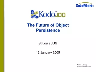 The Future of Object Persistence