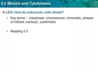 LEQ: How do eukaryotic cells divide?