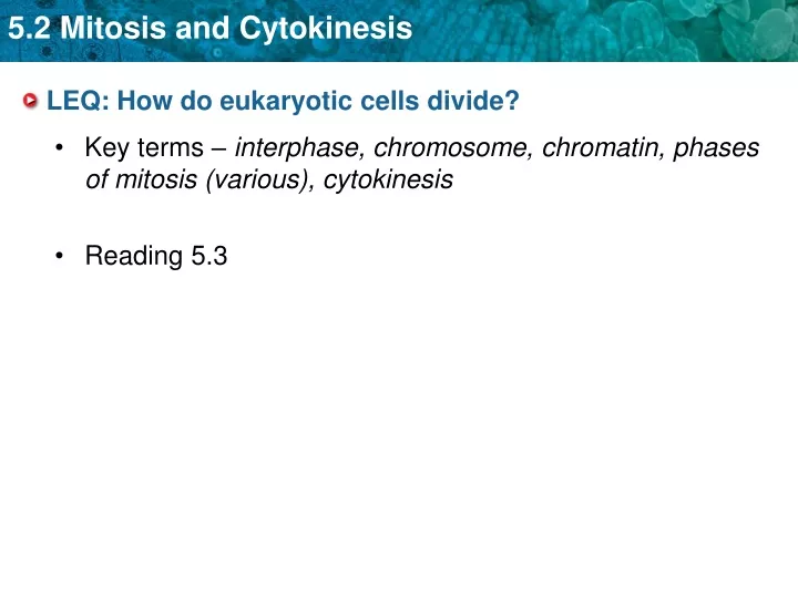 leq how do eukaryotic cells divide