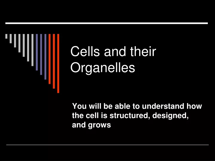 cells and their organelles