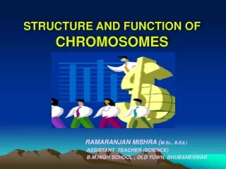 STRUCTURE AND FUNCTION OF CHROMOSOMES