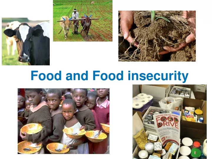 food and food insecurity